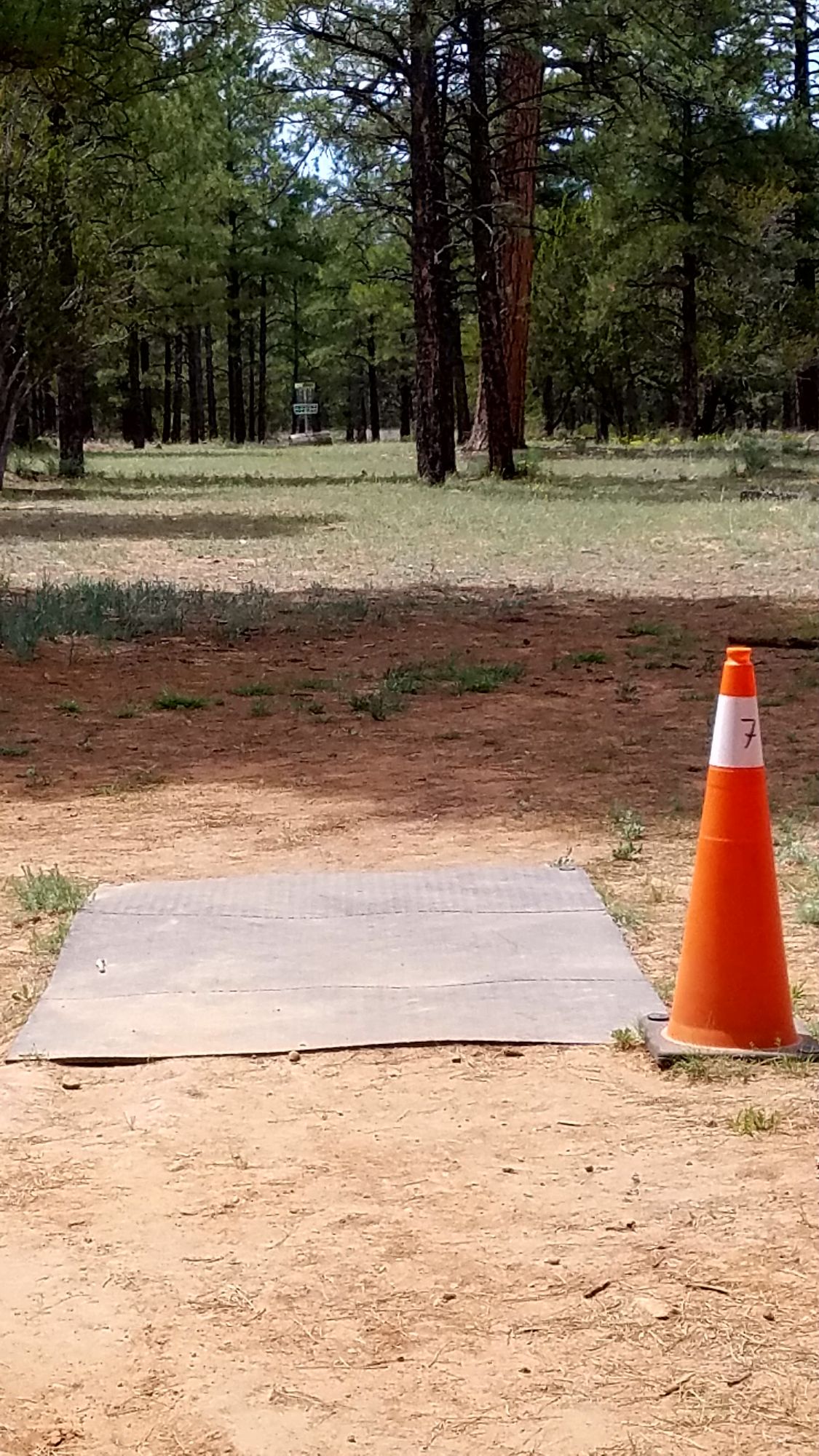 Hole 7 straight, lots of trees to guide you to the basket.