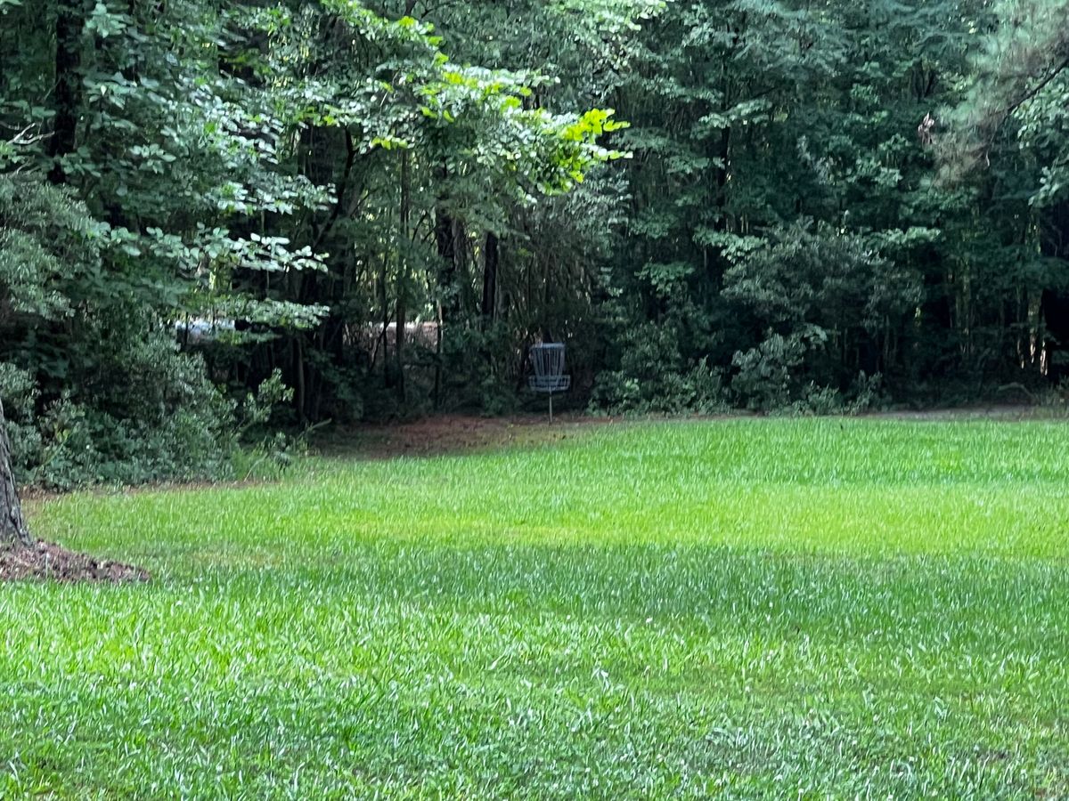 Hole 6 basket