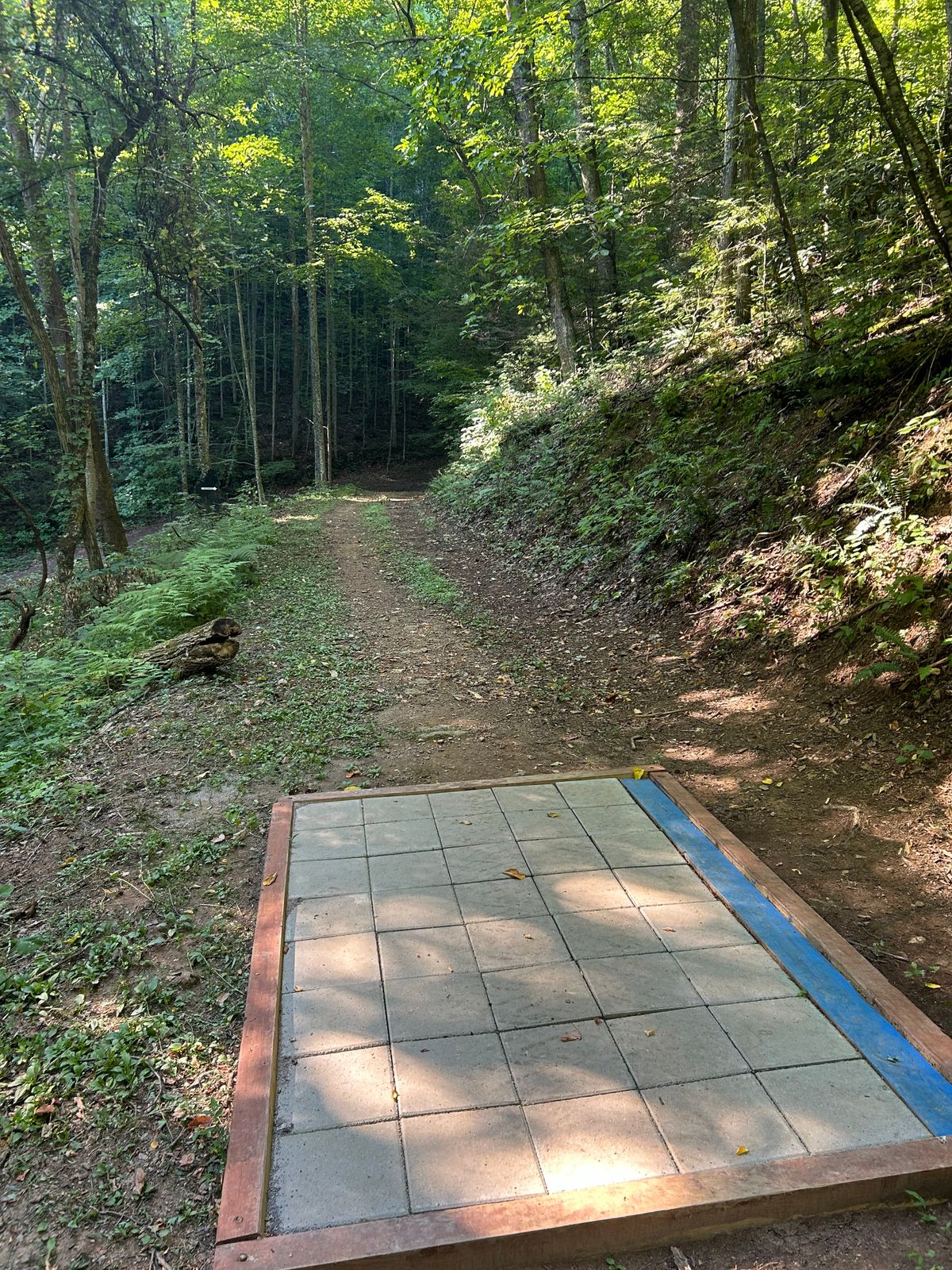 tee for 7 Blue shows that you throw down mountain across road to the basket   