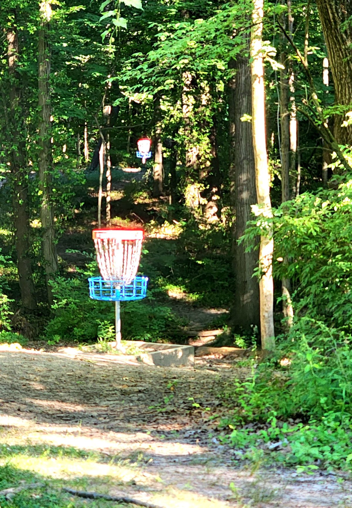 Basket 16 in the foreground, 15 in the background. 16's tee pad is about 60ft right and 10ft lower of 15's basket.