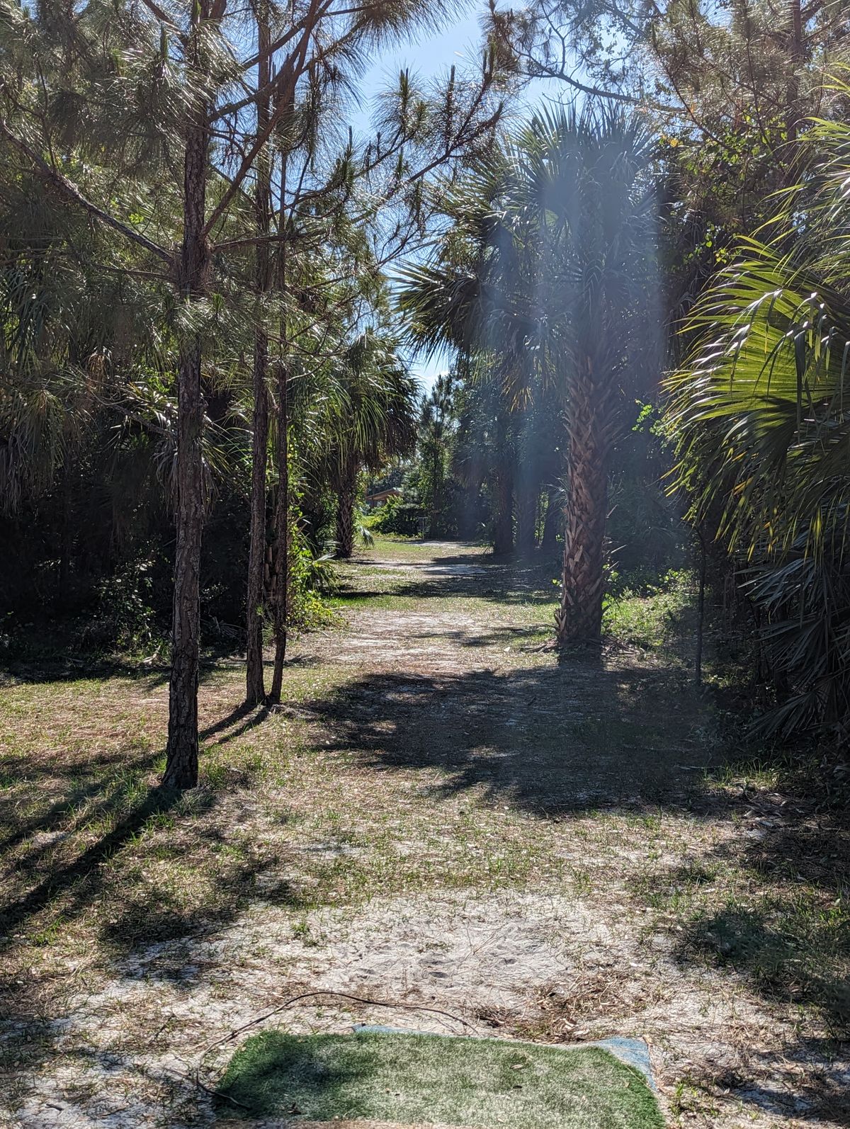 Hole 8 Fairway