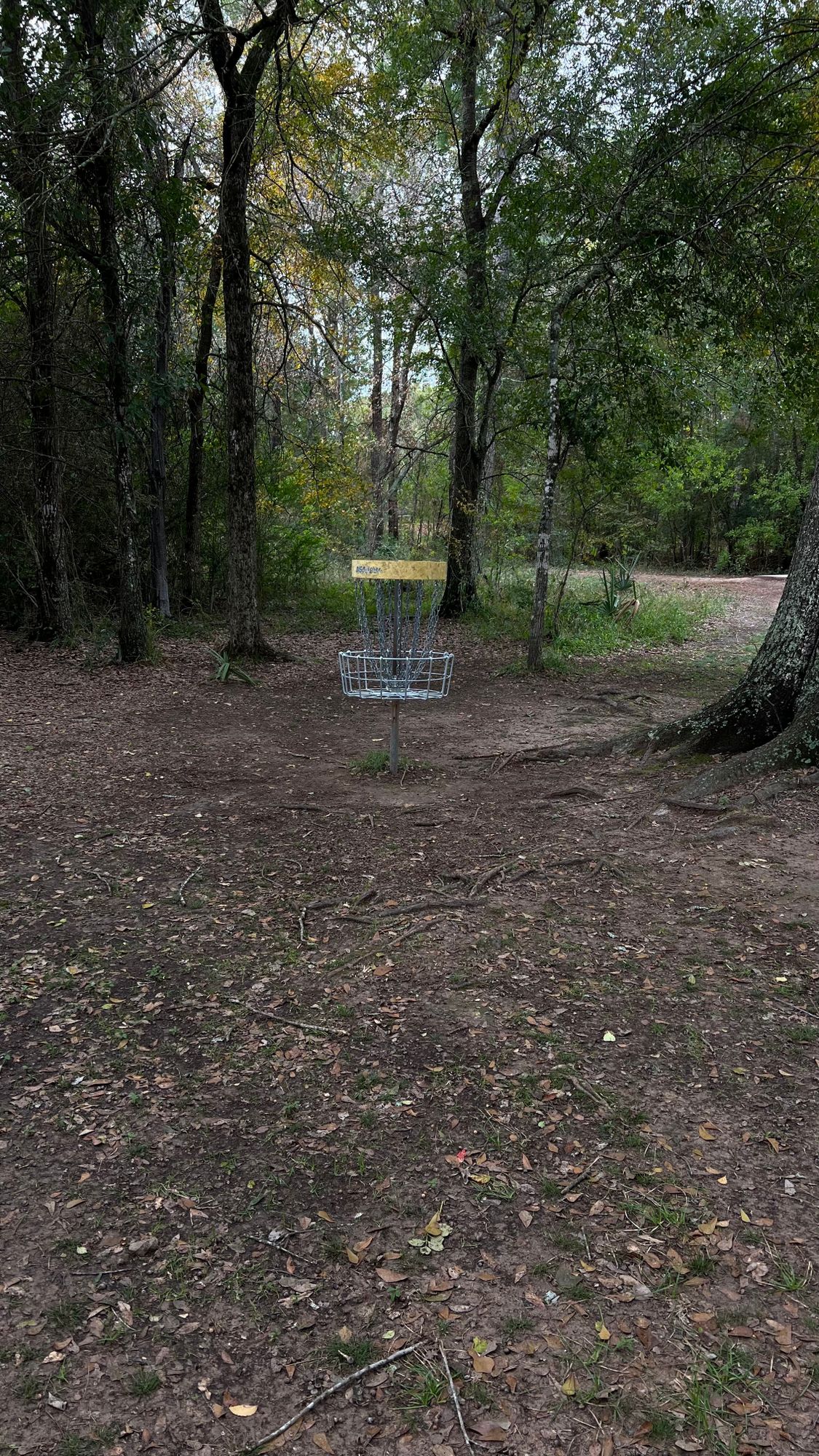 New basket and chains for hole 8 (12/1/23)
