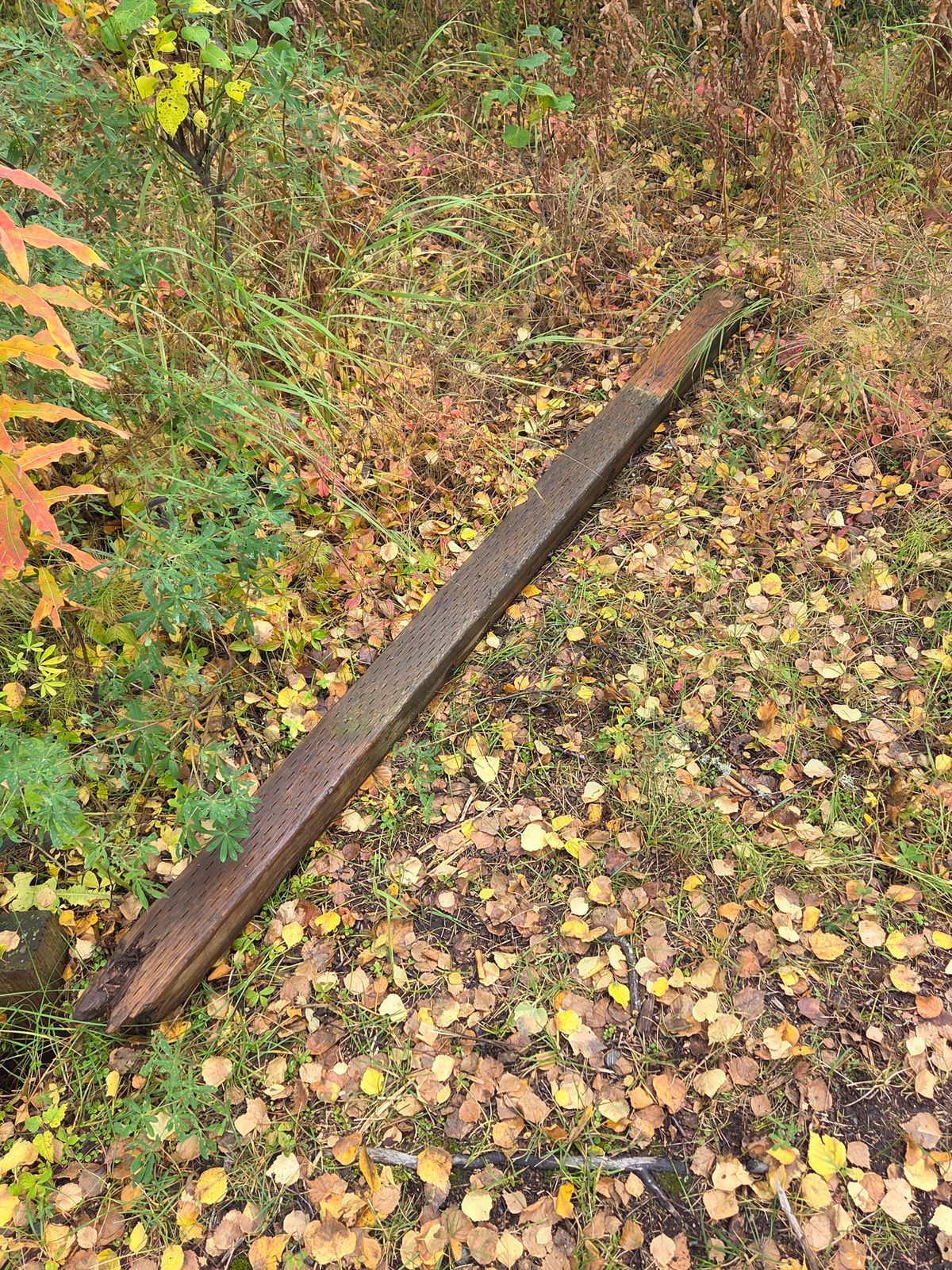 #7  sign  post