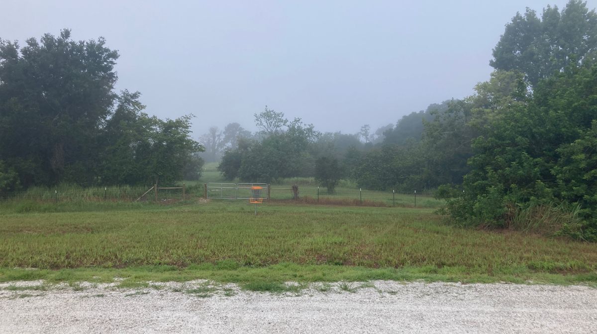Practice area