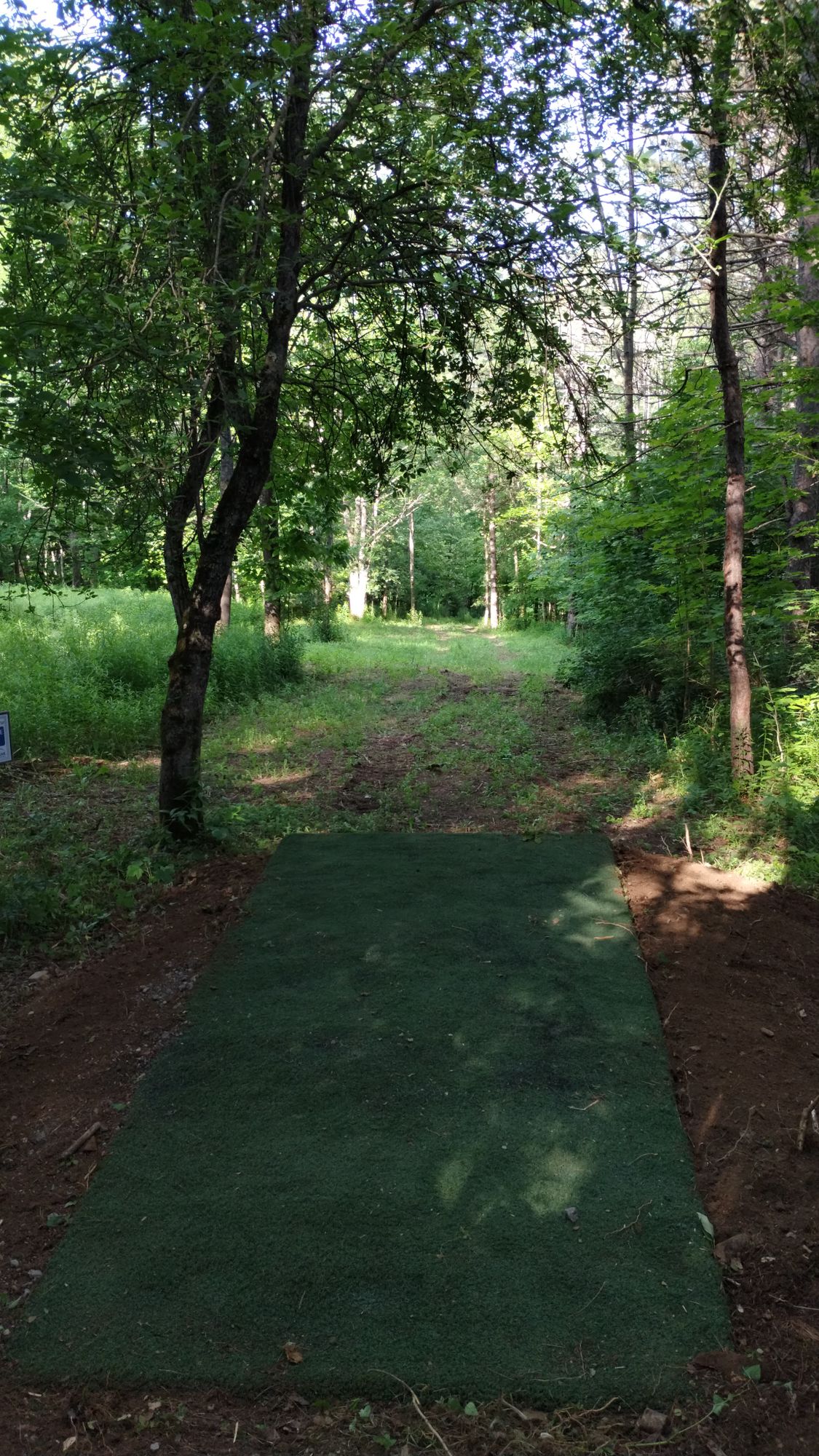 Hole 15 tee