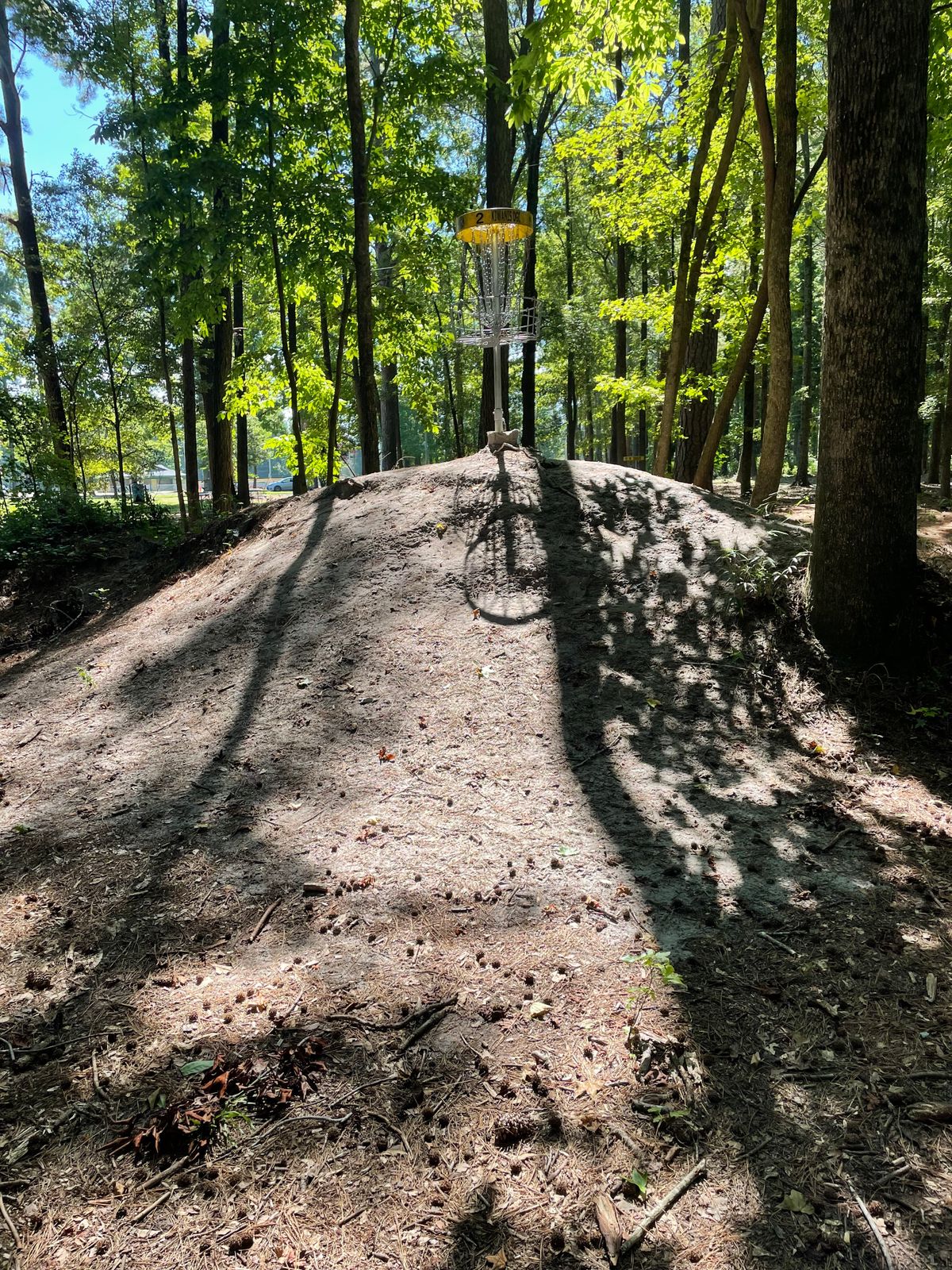 Hole #5 Approach To Short Pin Basket