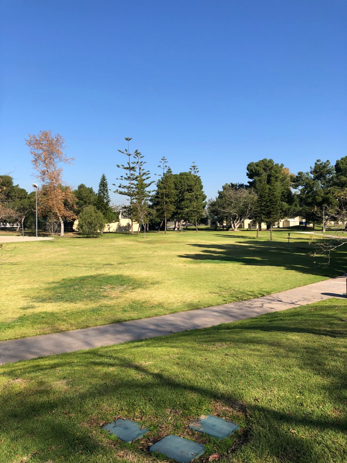 Hole 2 (Unoffical Long Tees)