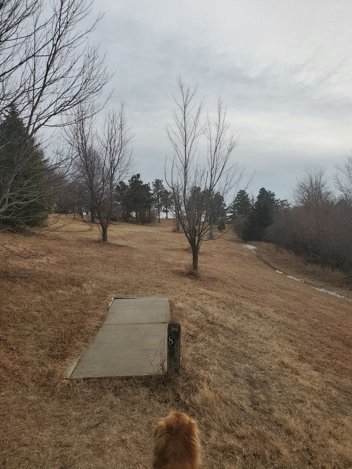 Hole 8