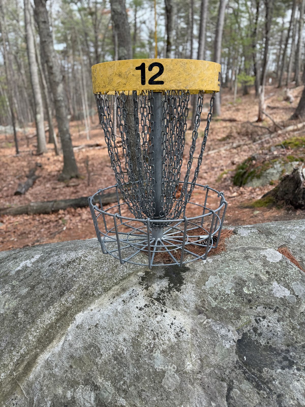 Beautiful course and layout