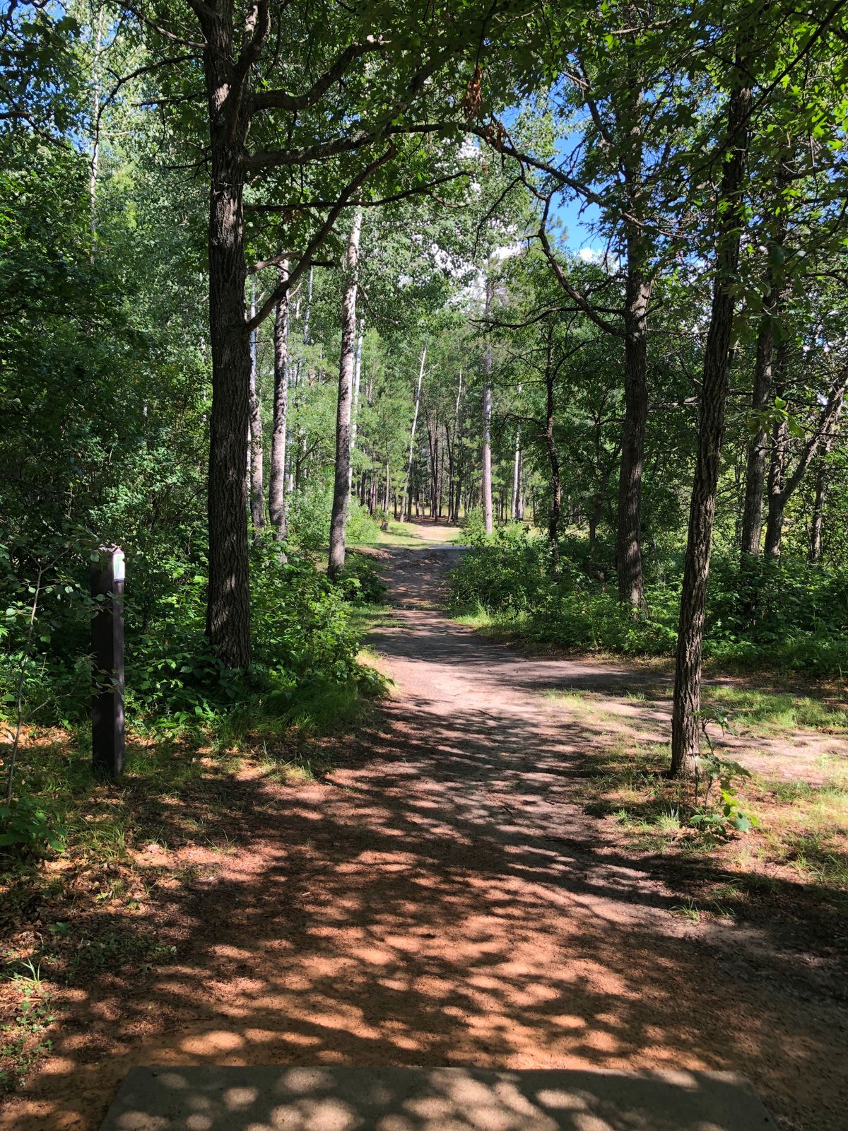 Hole 1 tee