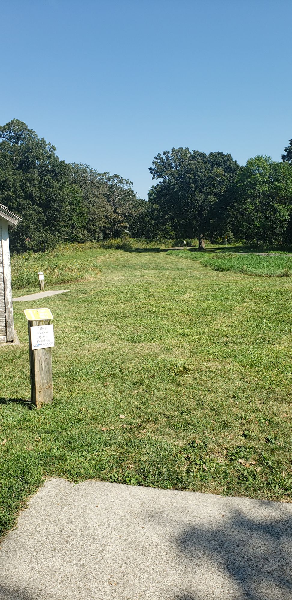 Hole 1 Gold tee