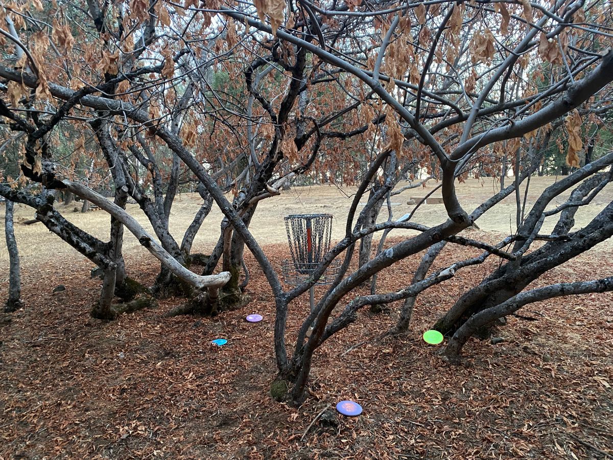 Hole 27 is dope in the fall, and in the spring!