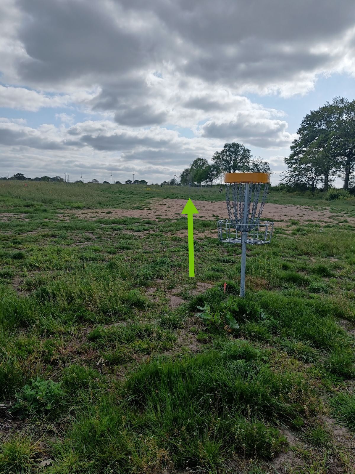 Korb 6
Weg zu Tee 7