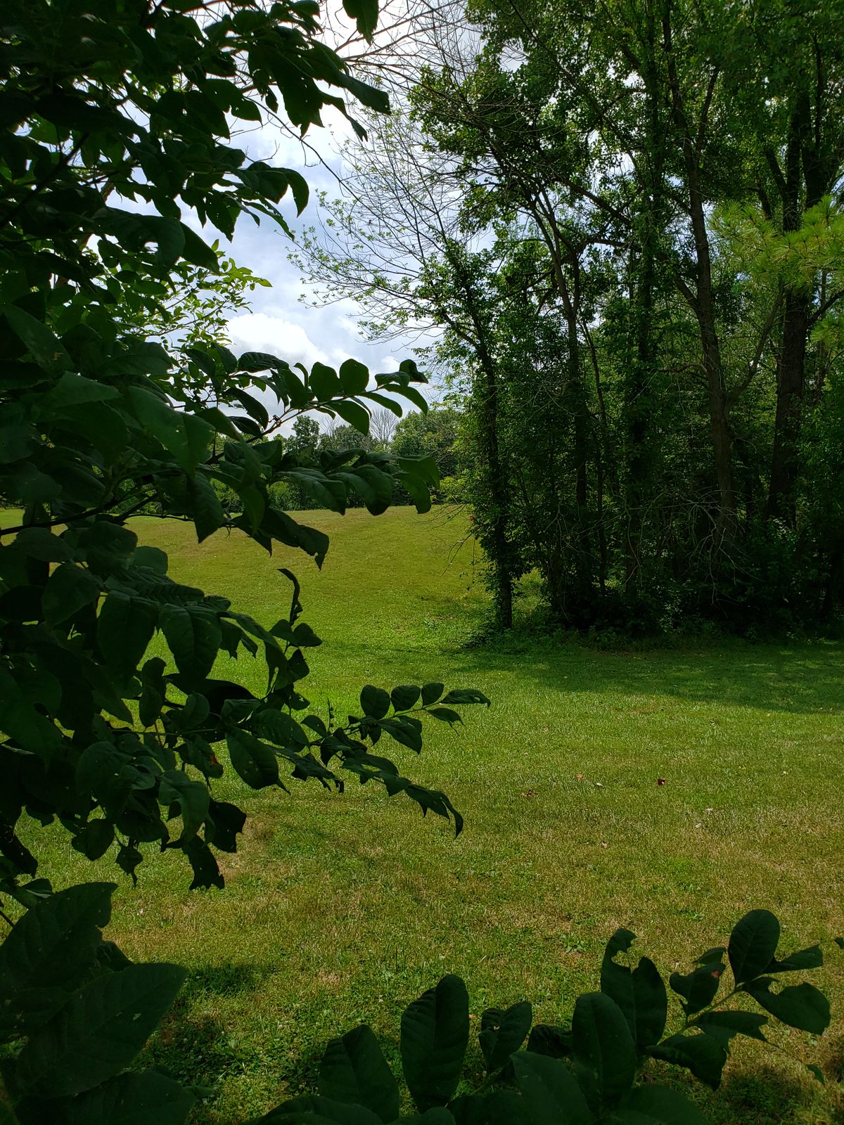 #4 Fairway view.