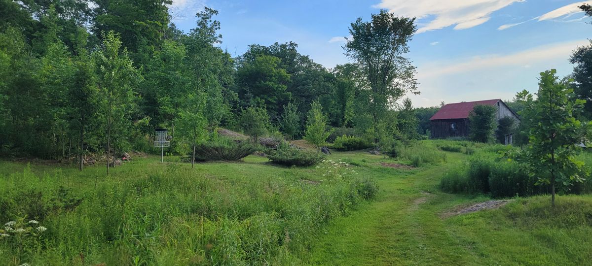 Hole 1 basket