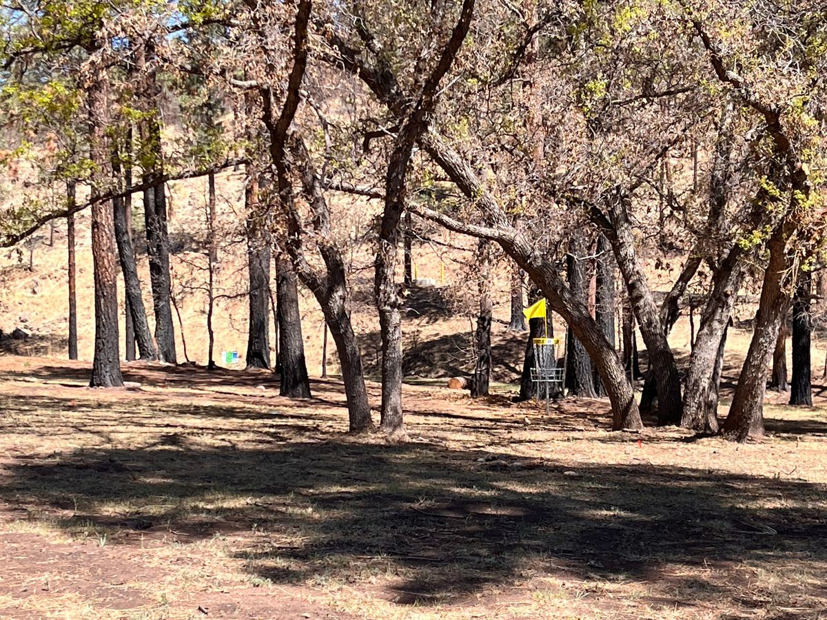Back nine green