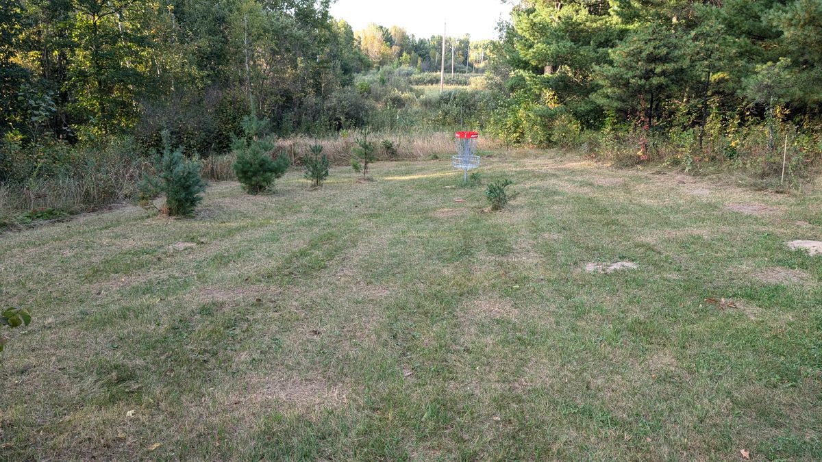 The basket of one is on a down slope and it's guarded by some of the cutest white pines you have ever seen. Be careful though as the aforementioned bush in top of the hill is pure death for your putt.