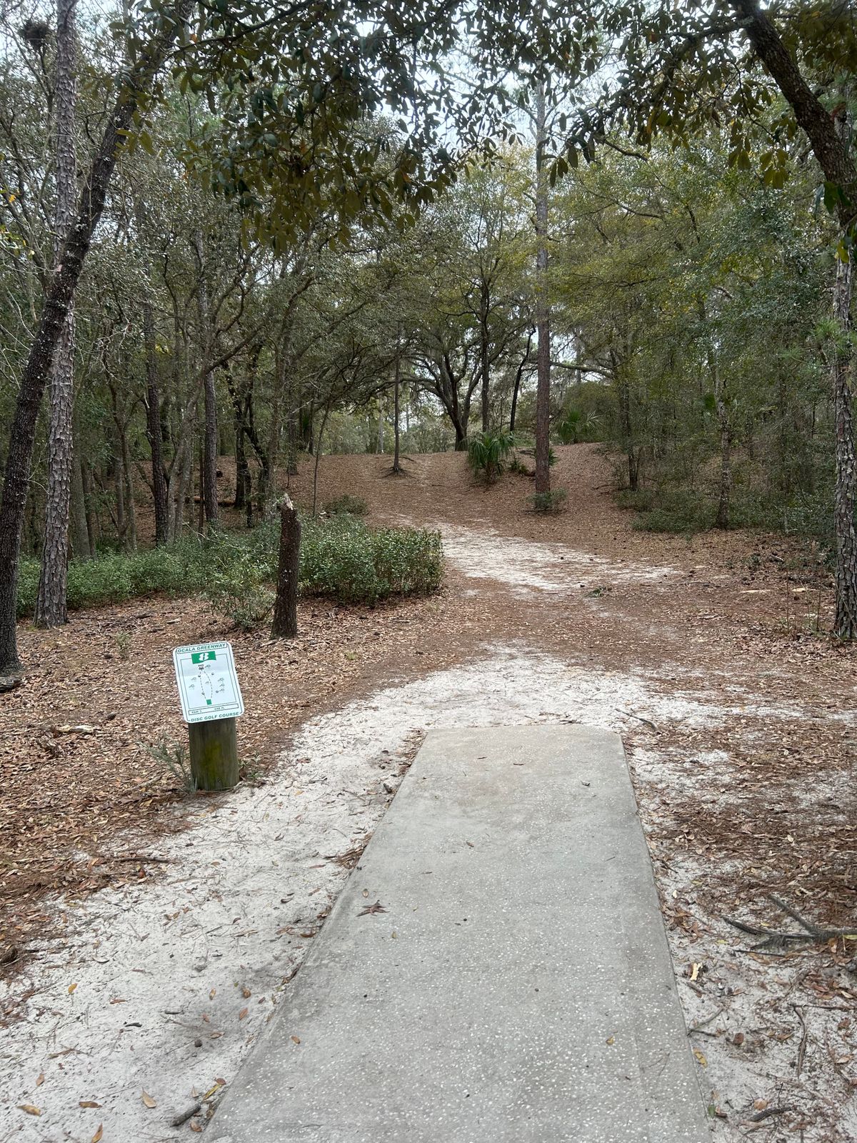 #8 Tee (only pad)