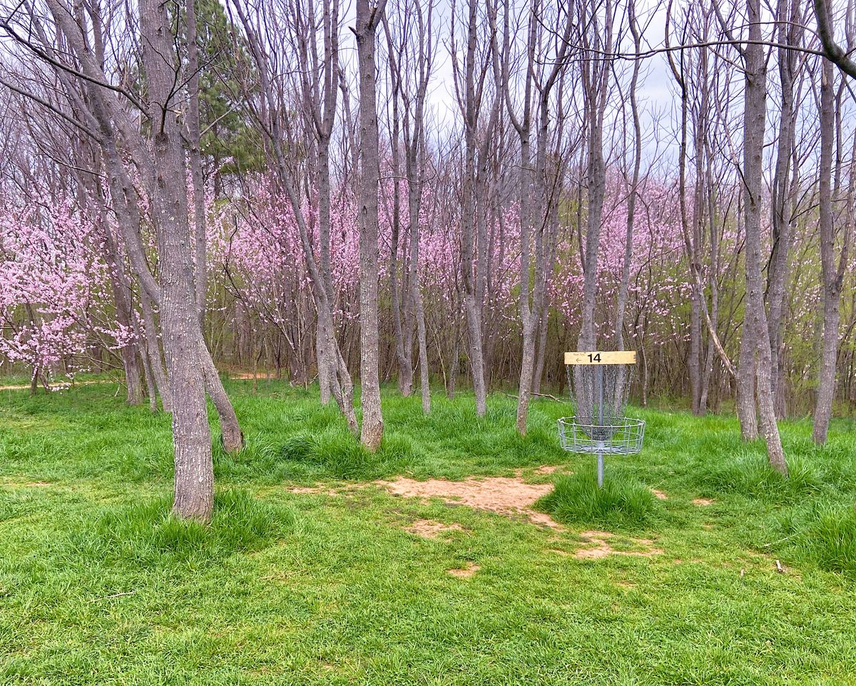 Hole 14 in the spring
