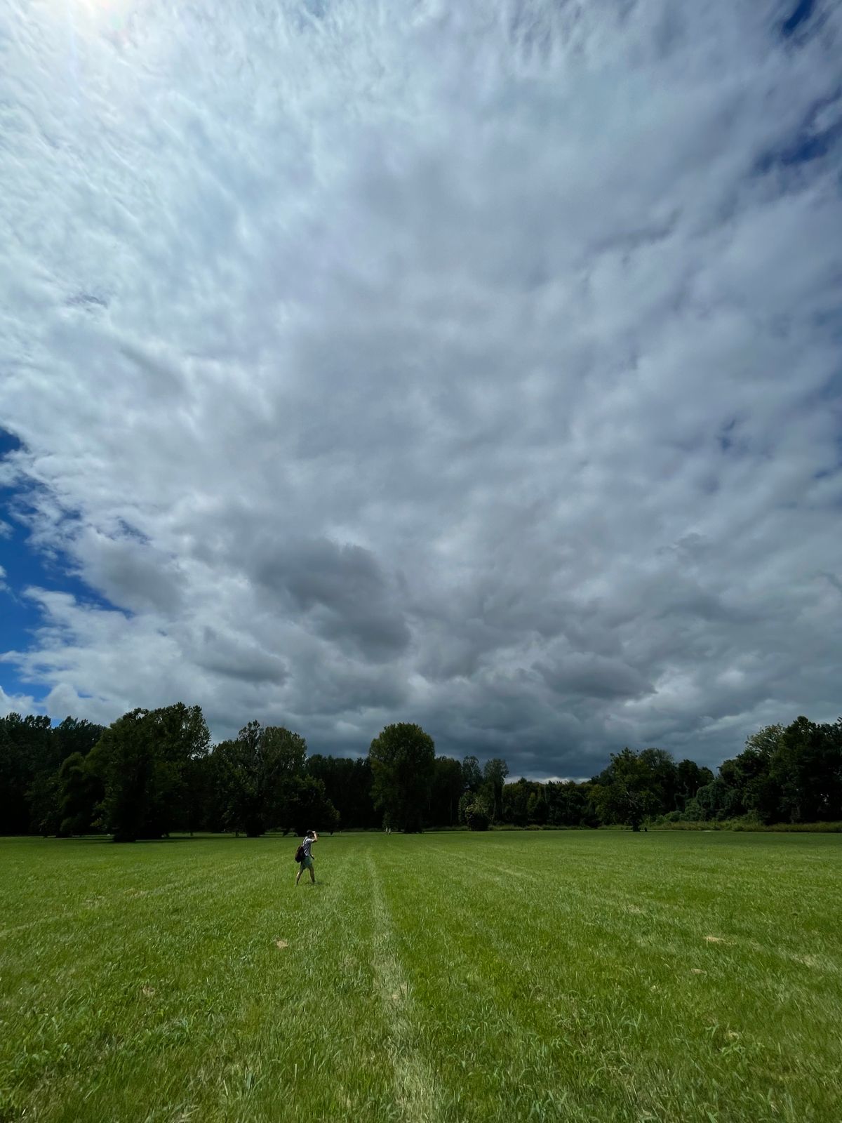 This course is a big open field with some trees and no hills.