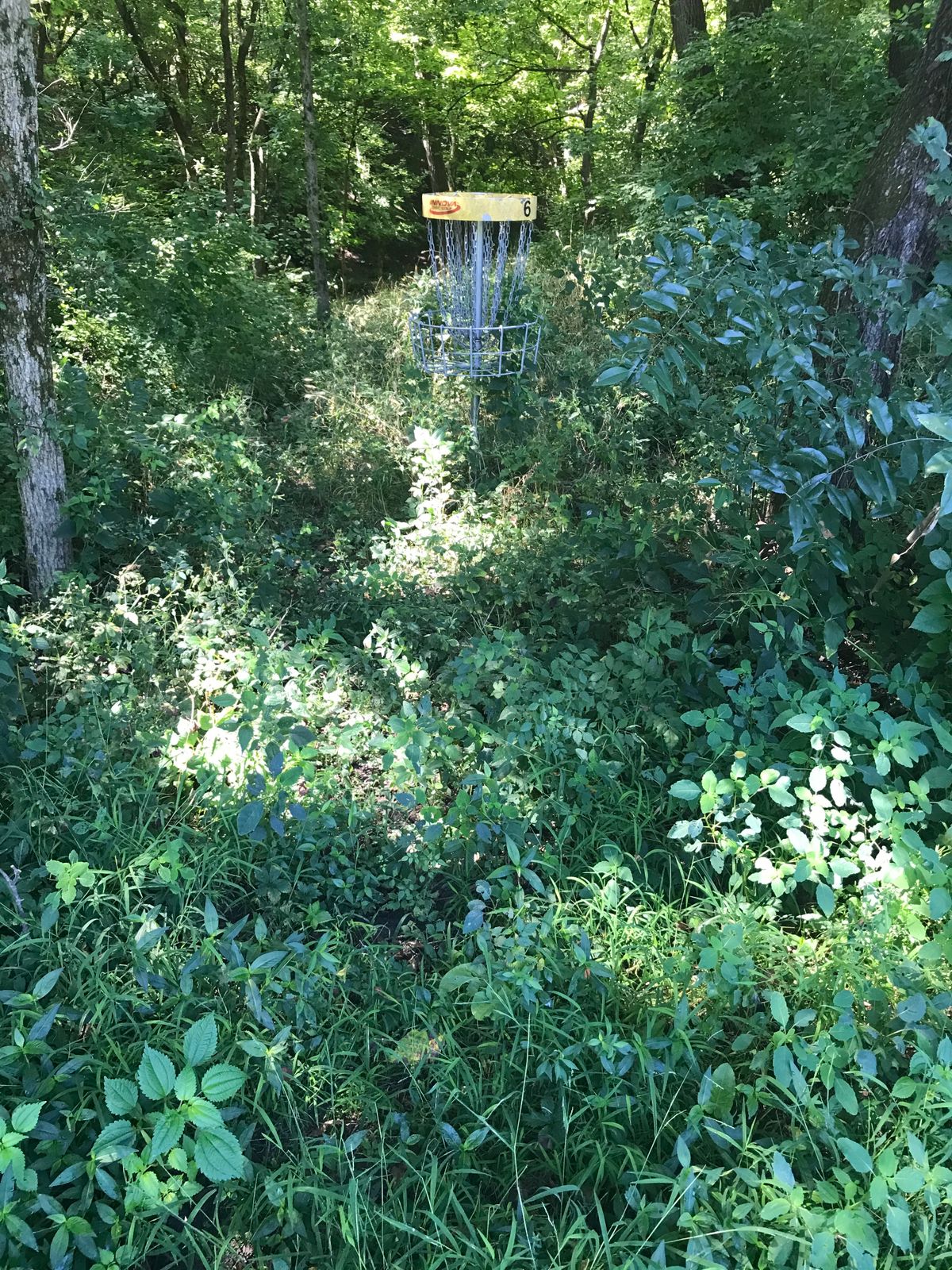 Poorly maintained as of 8/22/20