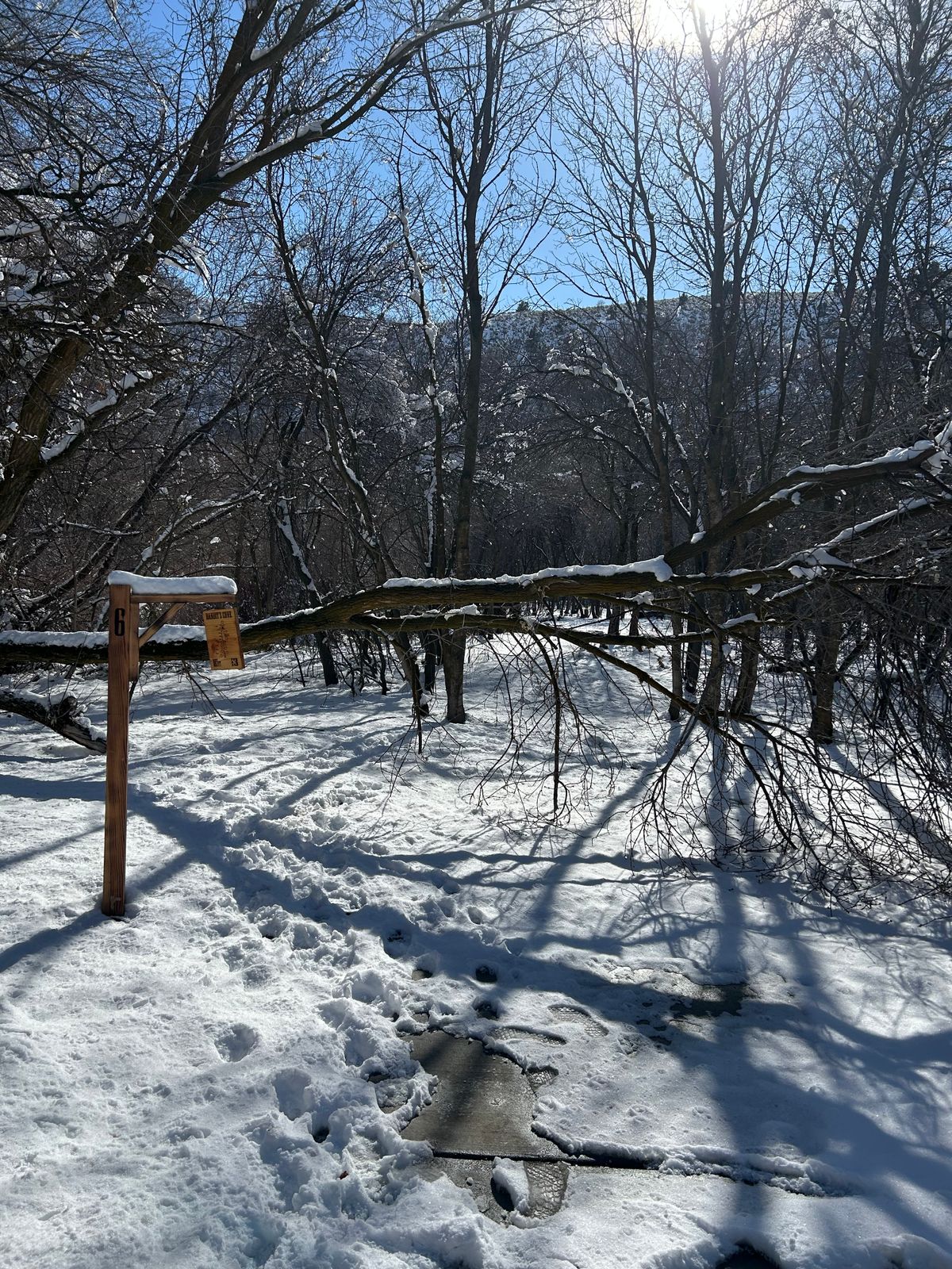 Hole 6 blue. Bandits is still cool in the winter