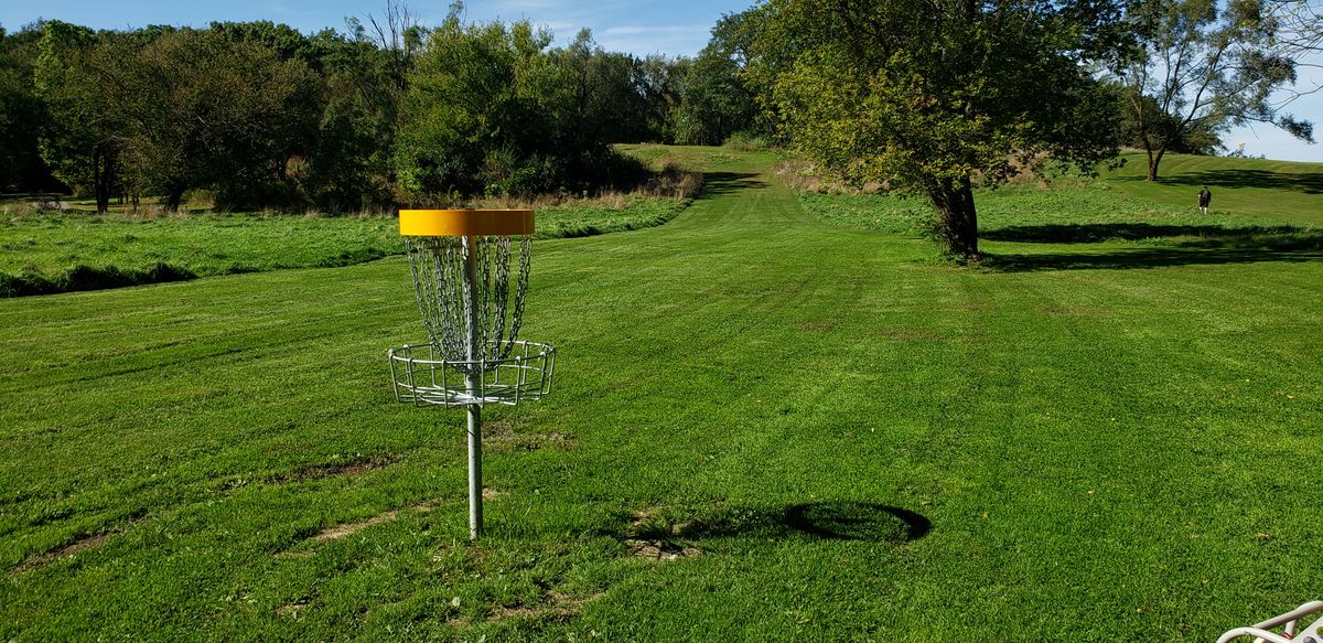 Hole 5 basket