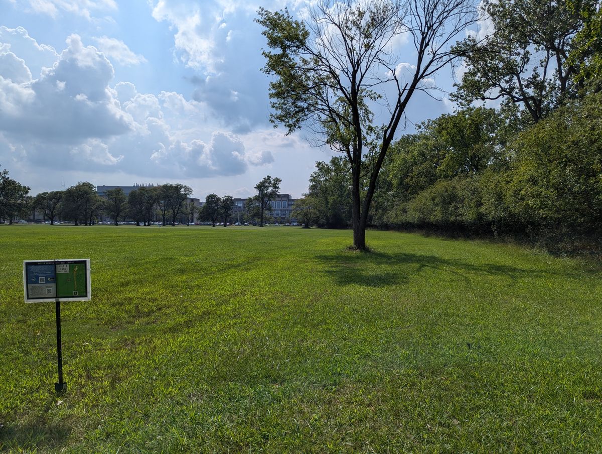 Hole 8 - Long