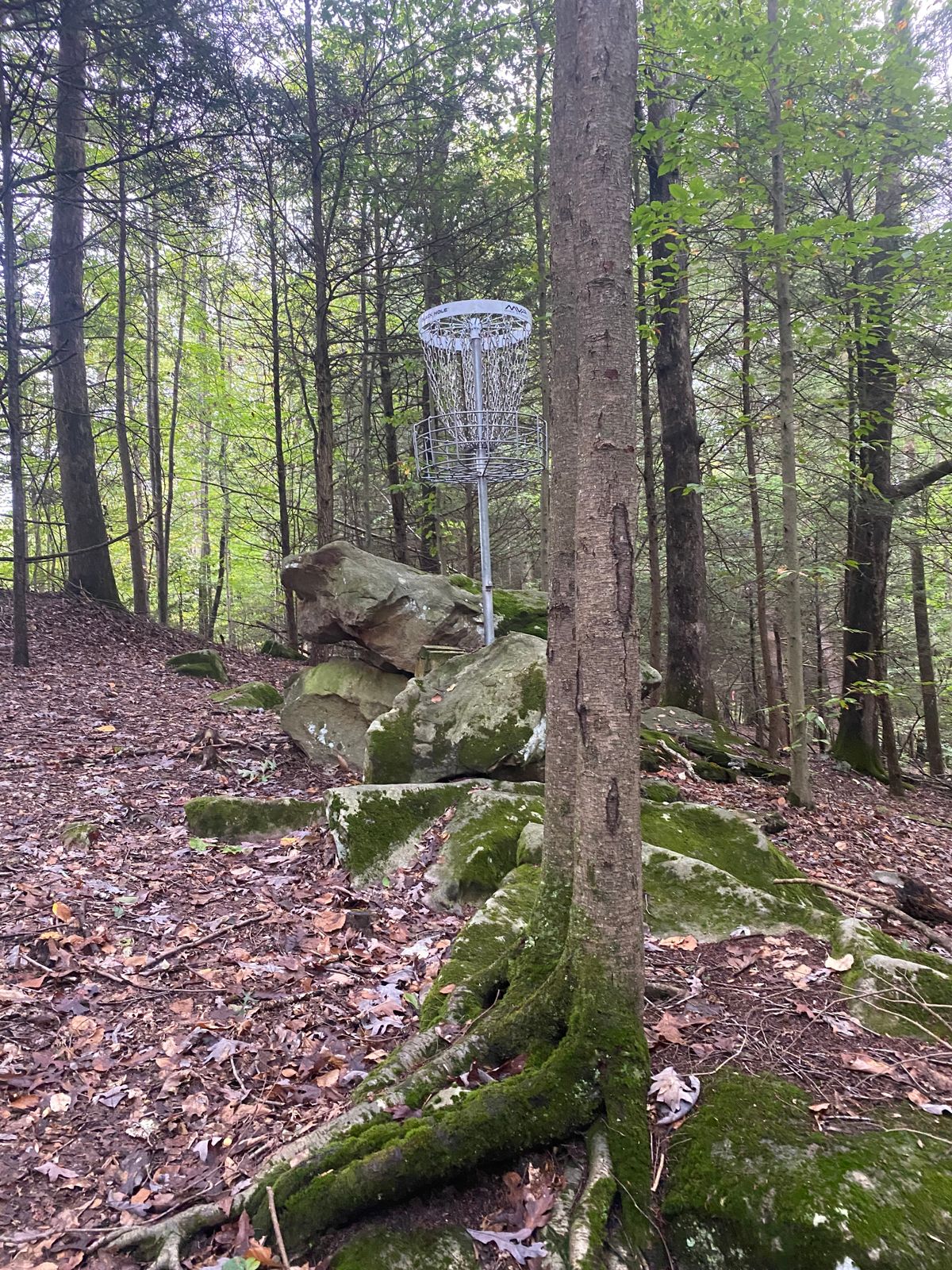 Nice high putt