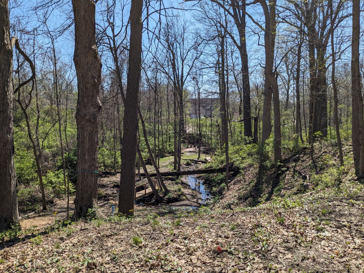 #5 from Fairway looking back at Tee Pad