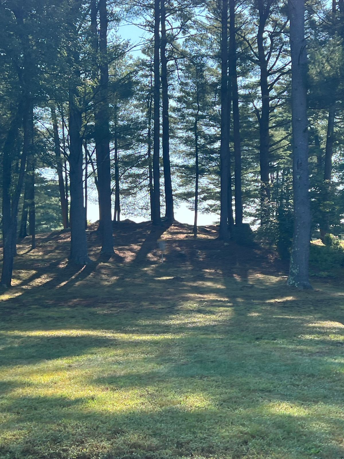 Hole 17 Basket