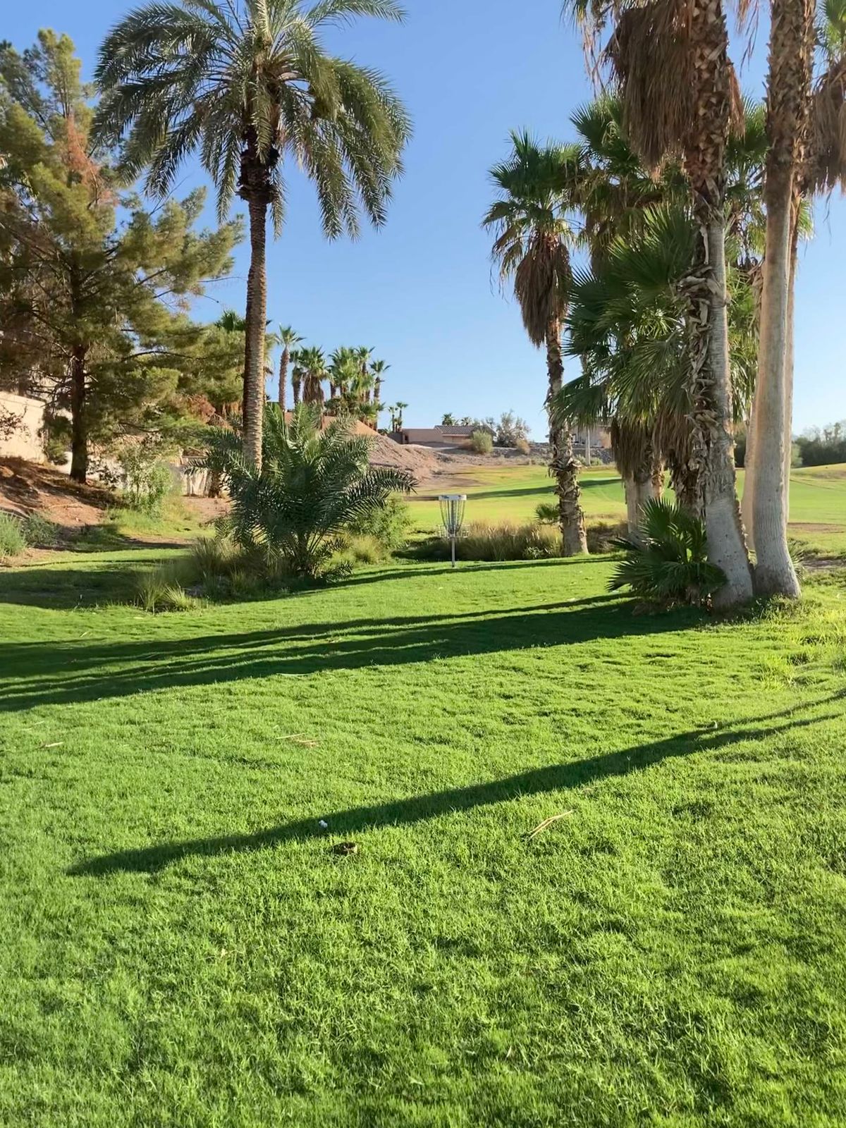 Hole 9. Double mando.