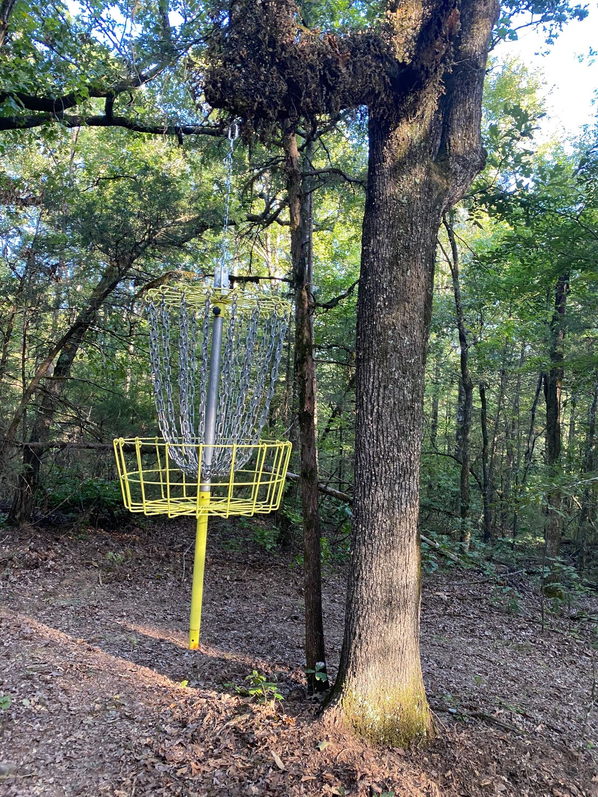 Hanging basket on hole 11