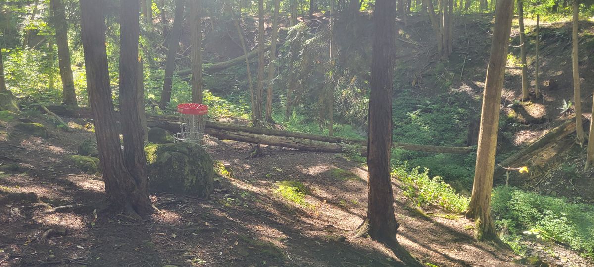 11 green.   Tee is to the left 12 tee12 near the green 15 yee17 tee