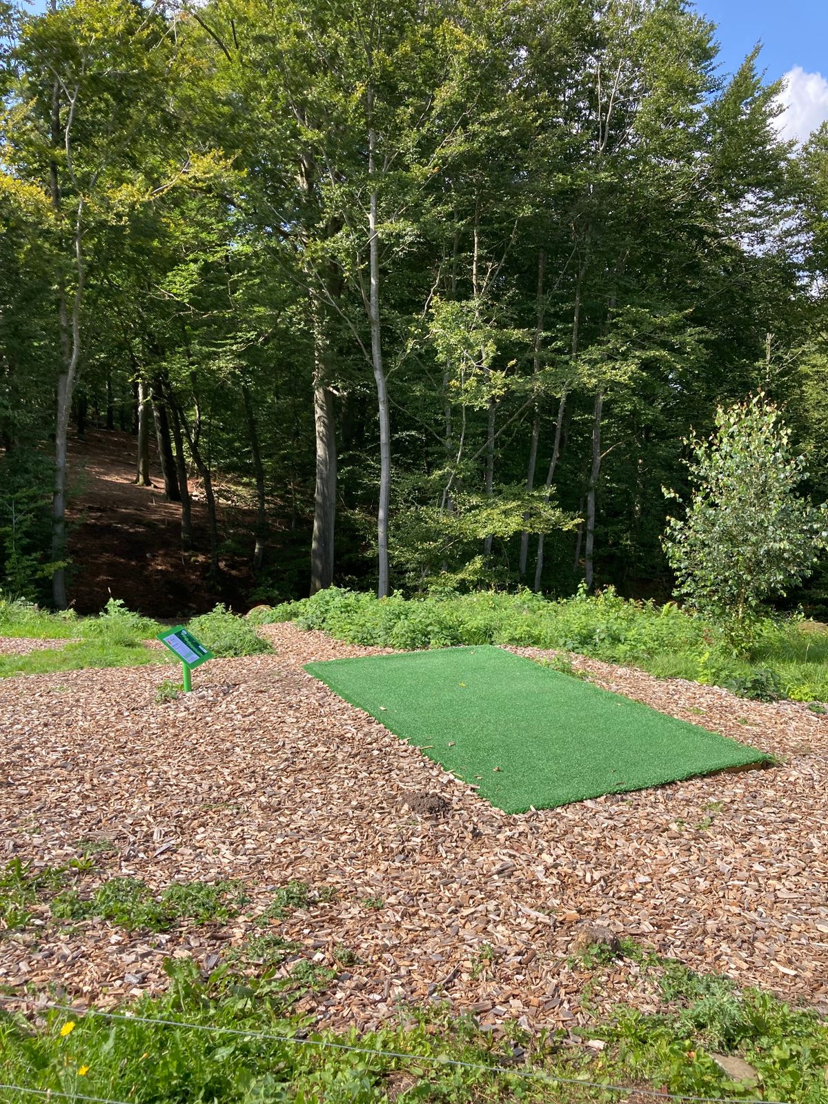 Tee of Skogsbanan, hole 1 (par 3)