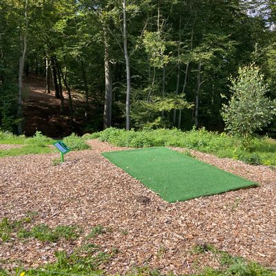 Tee of Skogsbanan, hole 1 (par 3)