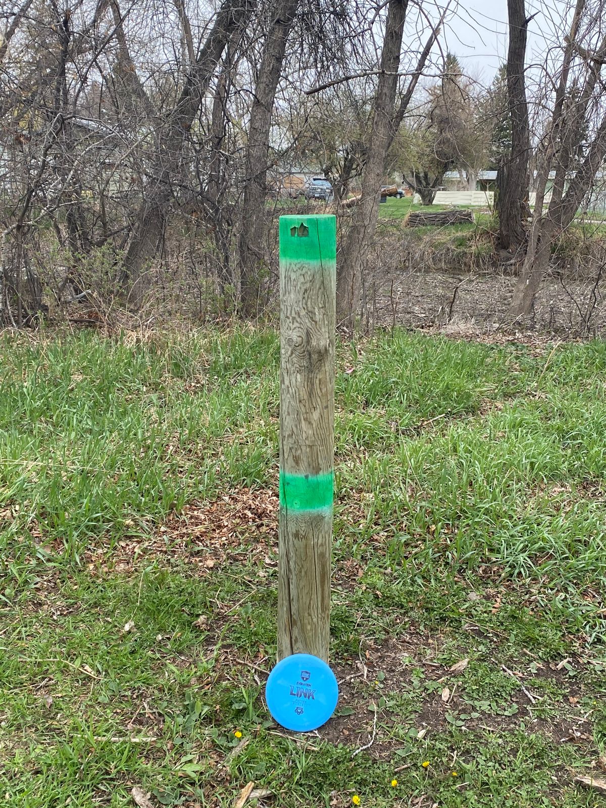 Hole 17 has a post for the basket.