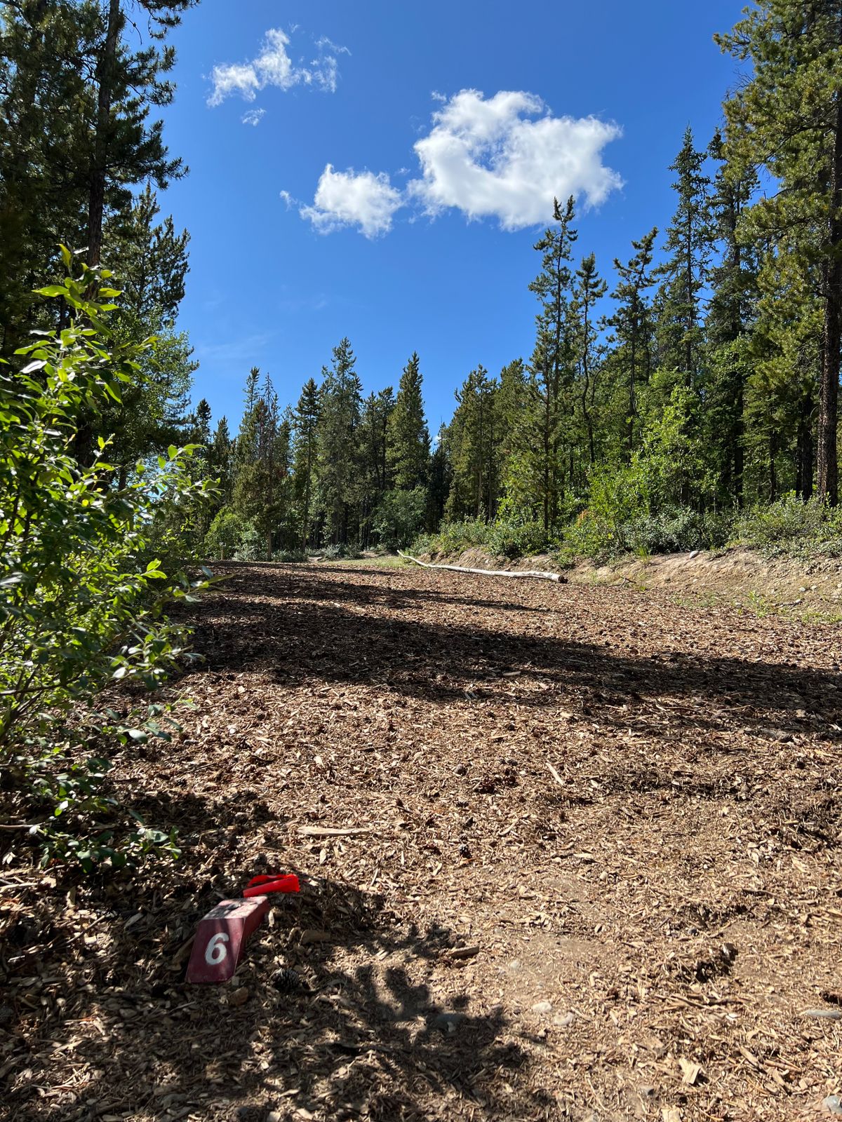Hole 6 reds