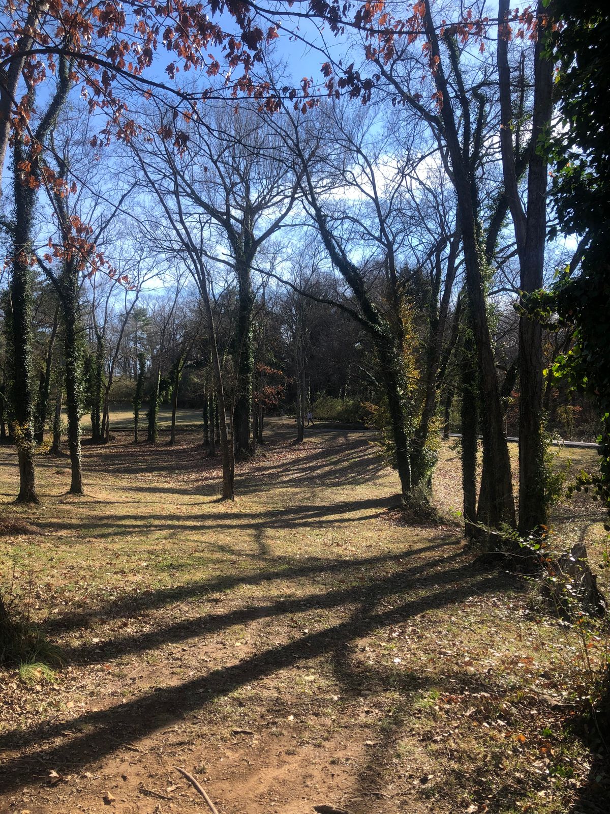 Hole 12
