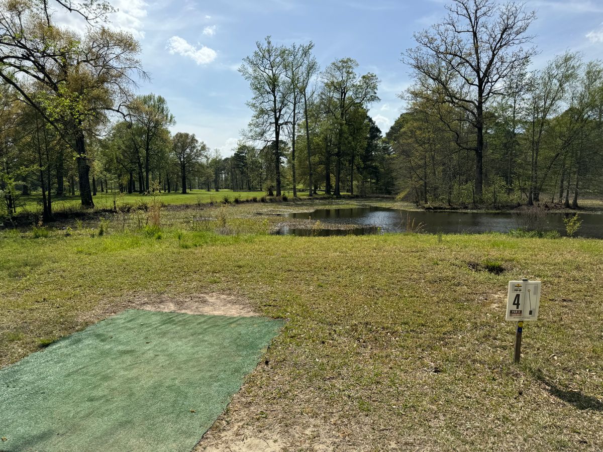 Hole 4 plays over water. Fun shot.
