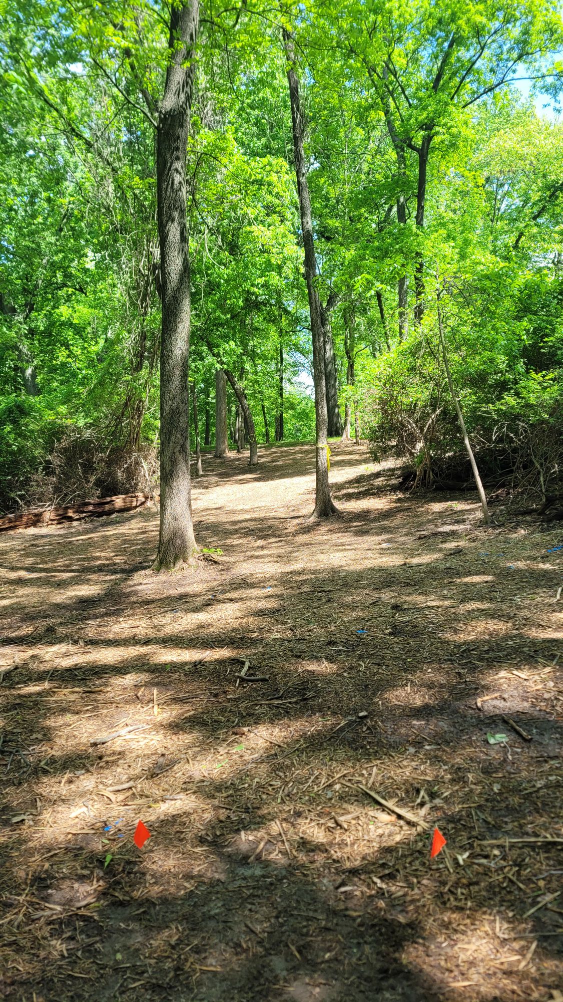 Hole 16 - pretty straight, up hill.