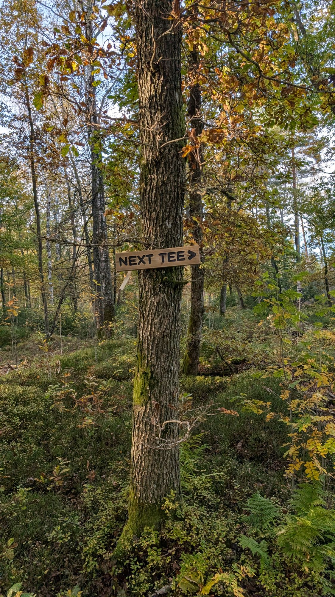 Next tee sign