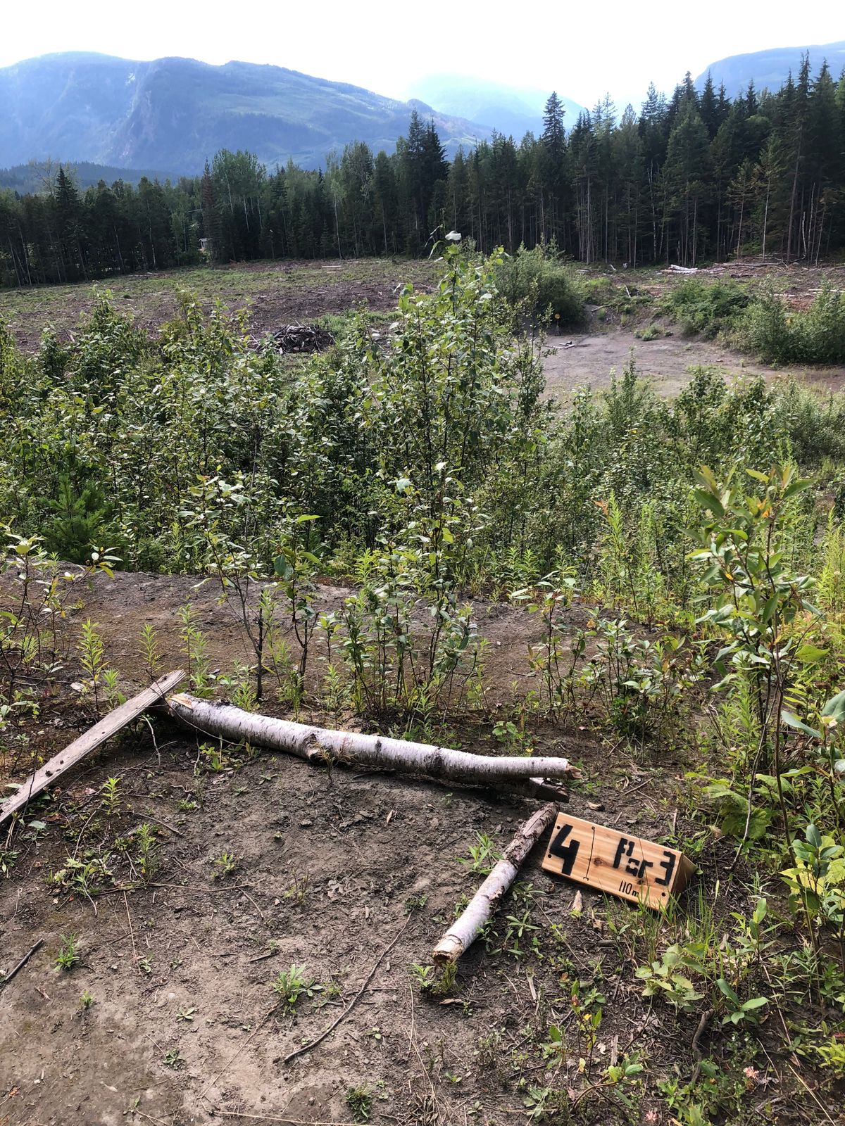 Hole 4 tee, down the hill to the stop sign