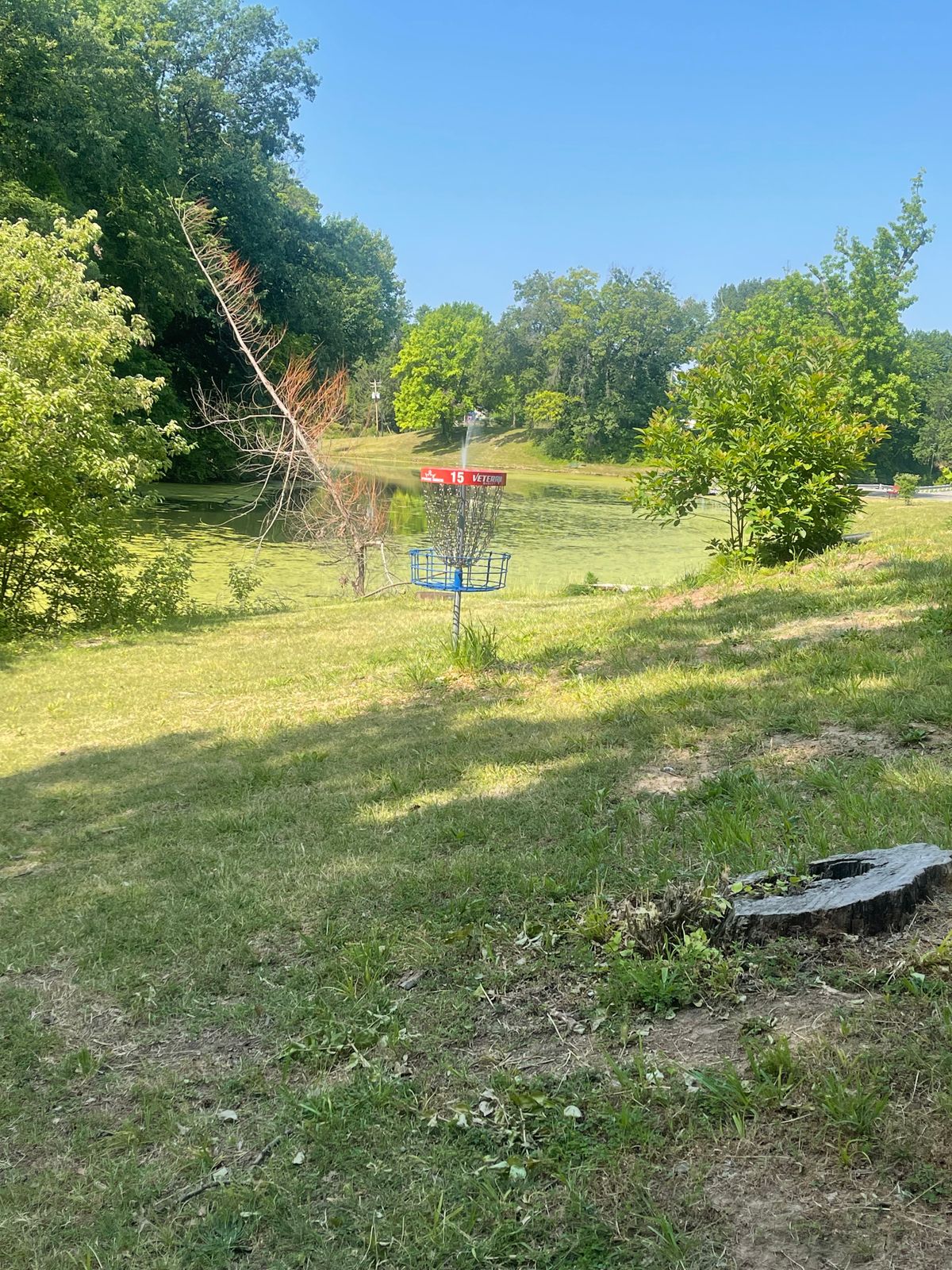 Hole 15 Basket