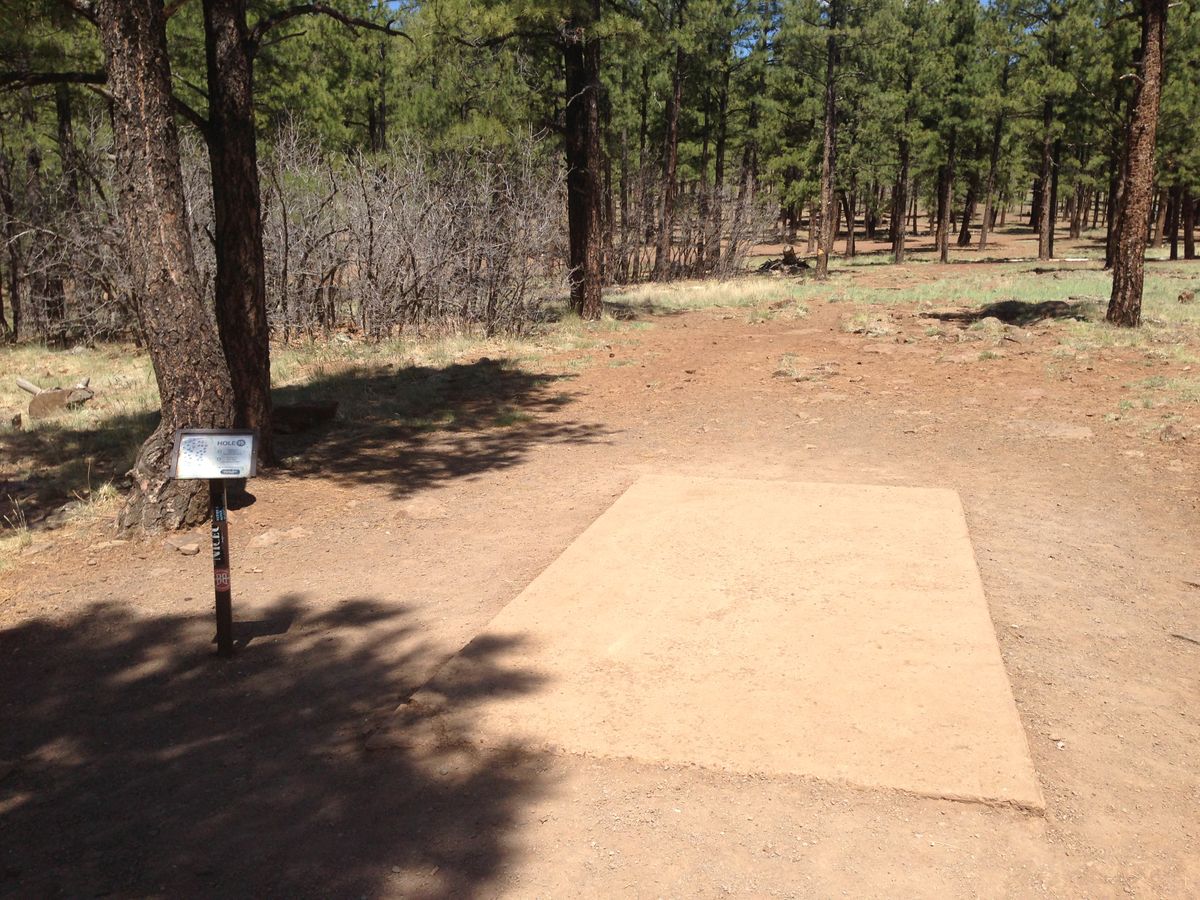 Hole 15