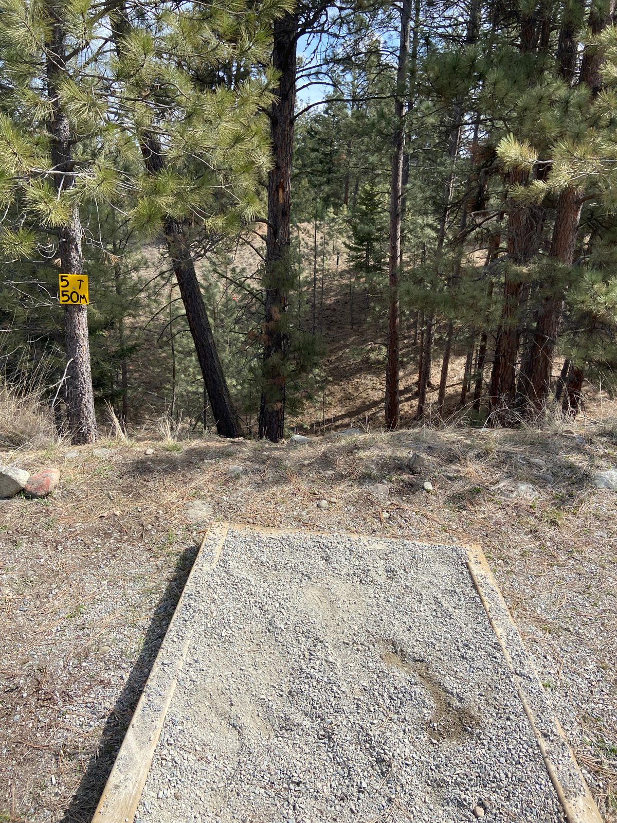 A nice tight throw between the trees and over a deep depression made number five a fun challenge.