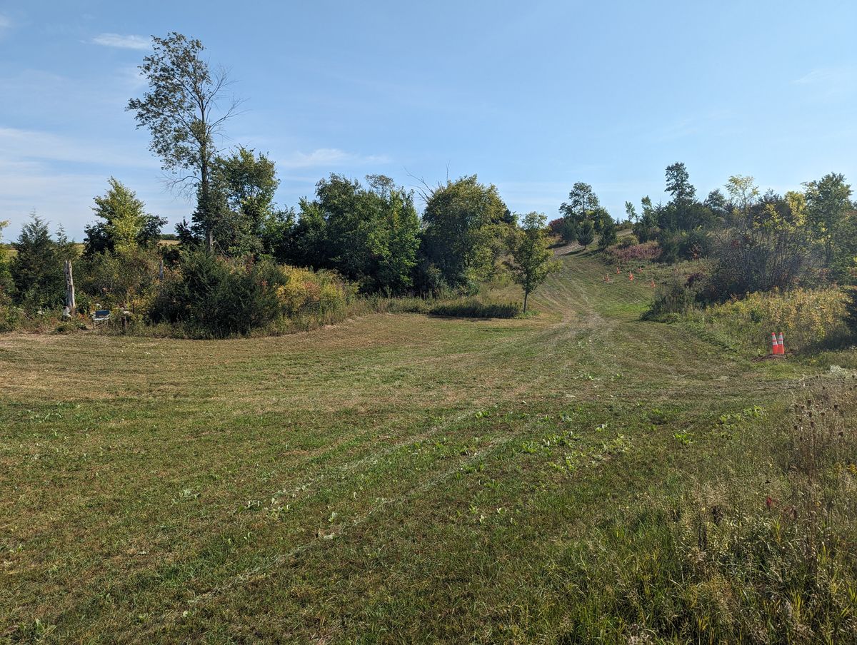 Fairway to Long Basket