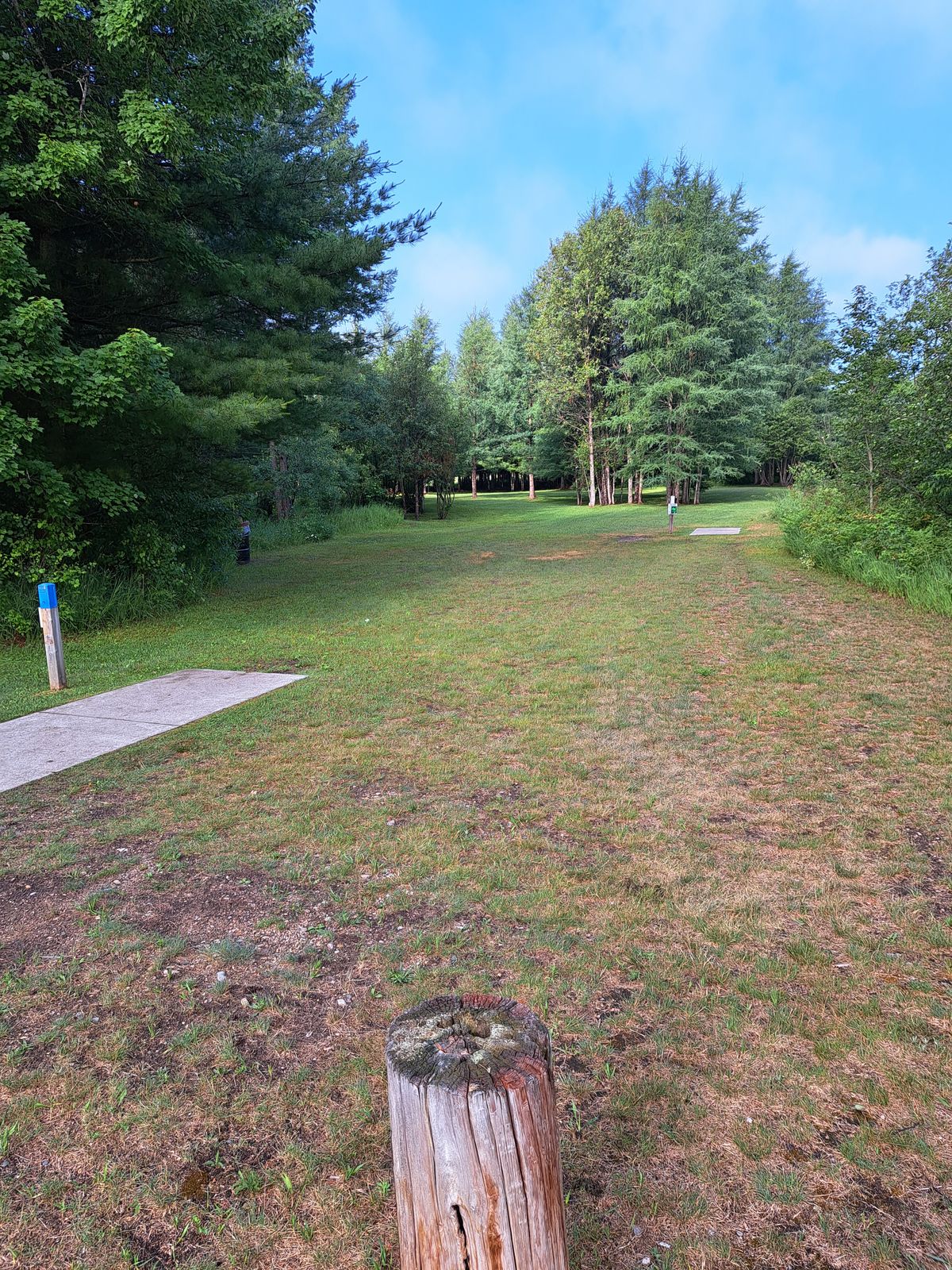 Hole 5 Blue teepad