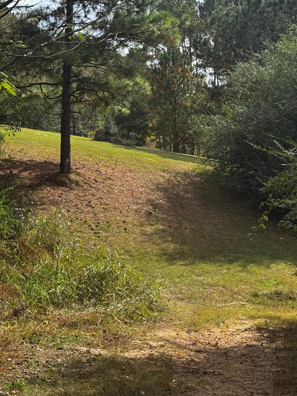 Hole 3