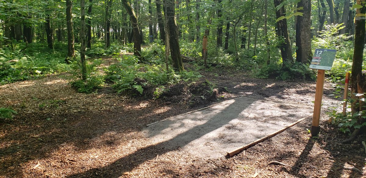 Tee #12 with more woodchips.